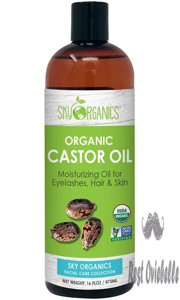 10 Best Castor Oils For Promote Hair Growth Of 2022 5550