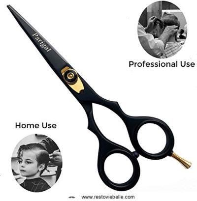 Parigal - Hair Cutting Scissors B087SZFHBY2