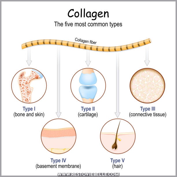 Best Collagen for Beard Hair