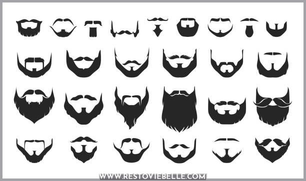 Different Types of Beard Shapes