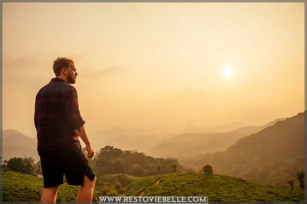 Man at sunset in the tea plantations