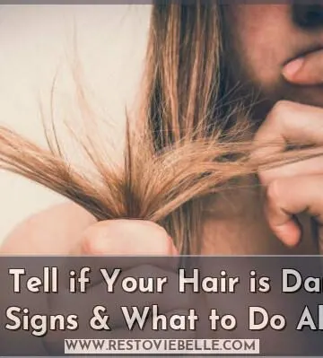 how to tell if your hair is damaged: key signs & what to do about