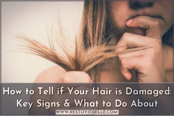 How to Tell if Your Hair is Damaged: Key Signs & What to Do About
