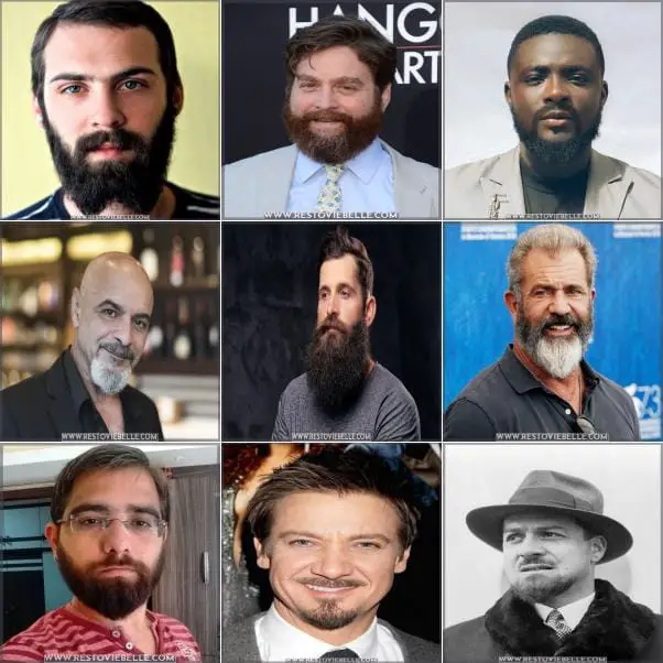 Popular Beard Styles for Round Face Shapes