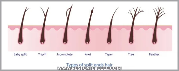 What causes split ends?