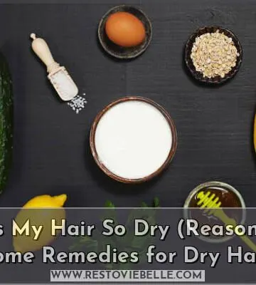 why is my hair so dry (12 home remedies for dry hair)